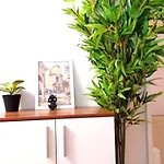 Wood Is Good! 24 7 Check In Apartment