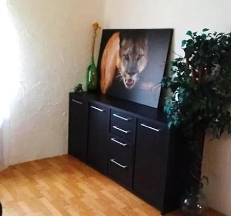 Wood Is Good! 24 7 Check In Kelkheim